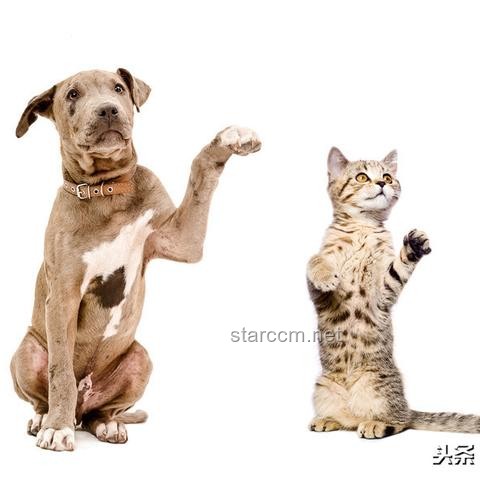 小伙亚硝酸盐中毒后尿液呈蓝色？急救与预防指南